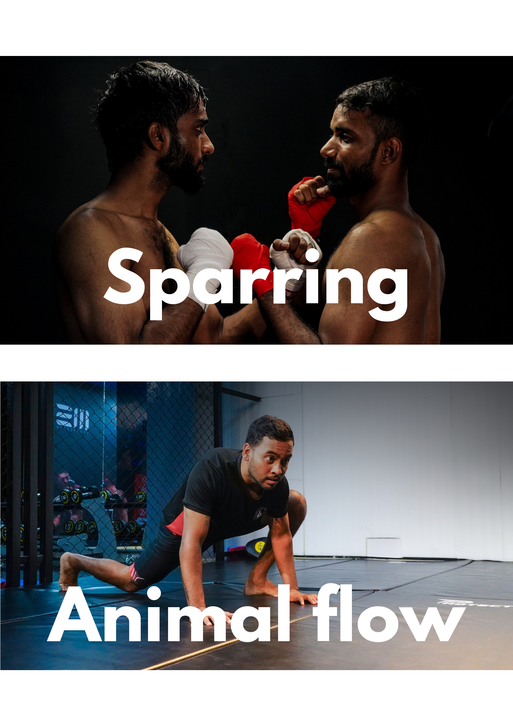 Boxing (3)_pages-to-jpg-0001
